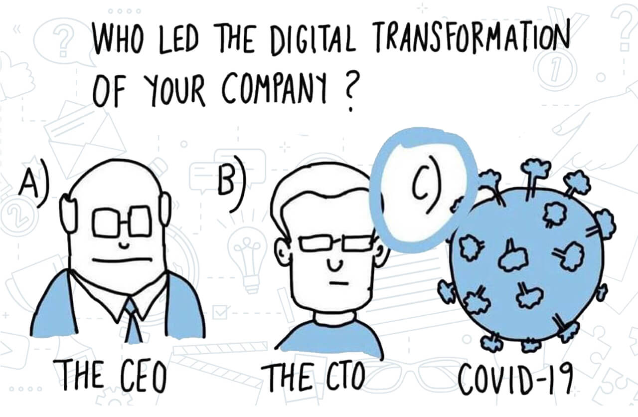 Who led the digital transformation of your company?
